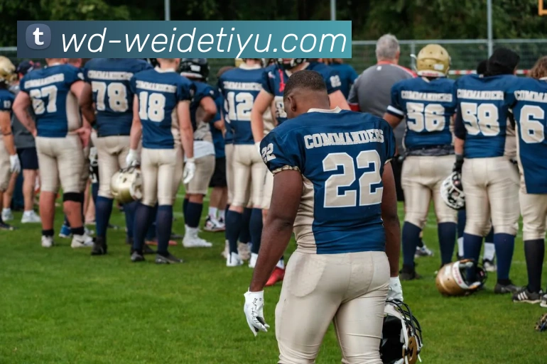 伟德体育APP 高清赛事图